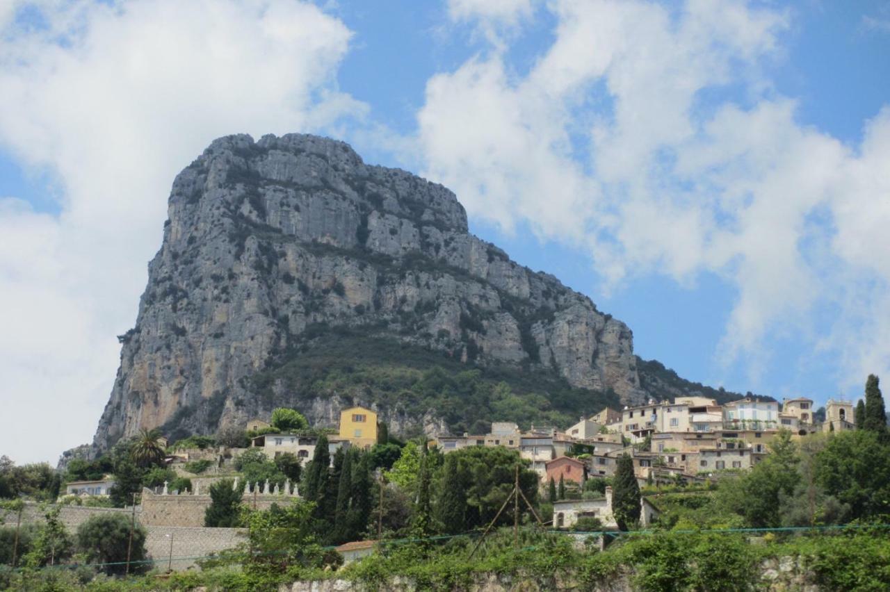 Bed & Breakfast Les Lillas Saint-Jeannet  エクステリア 写真