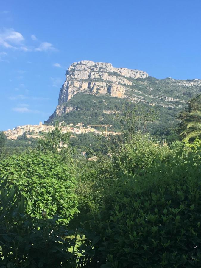 Bed & Breakfast Les Lillas Saint-Jeannet  エクステリア 写真